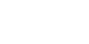Das Logo von BORA